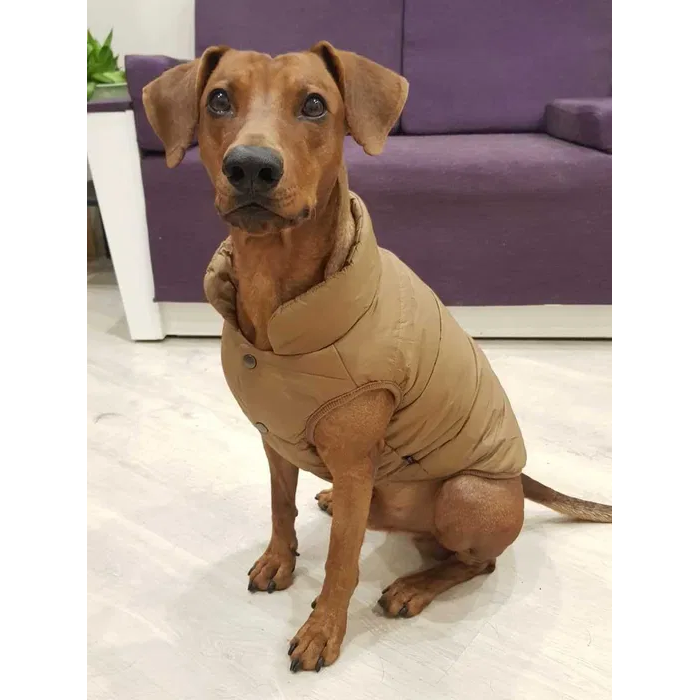 Зимняя теплая жилетка для собак на синтепоне "Vest", коричневая, размер M