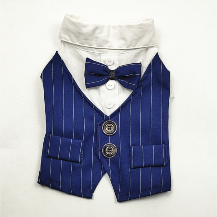 Праздничный костюм для собак-мальчиков "Джентельмен", синий, размер XS