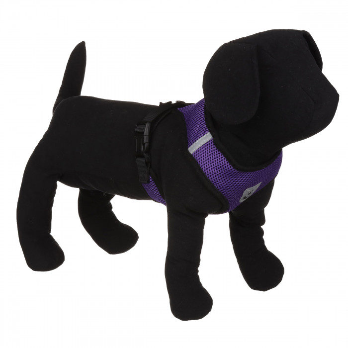 Сітчаста легка шлейка для вигулу собак з повідцем, фіолетова, розмір S