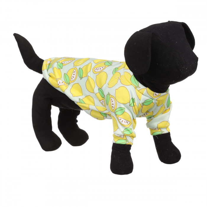 Осінньо-весняний пуловер для собак "Лимон", блакитний, розмір XS