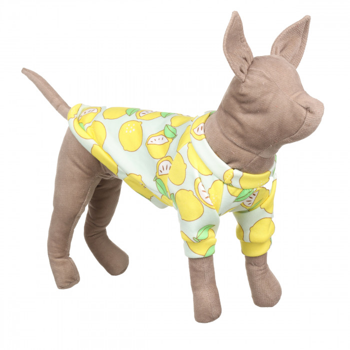 Осінньо-весняний пуловер для котів та кішок "Лимон", блакитний, розмір XS