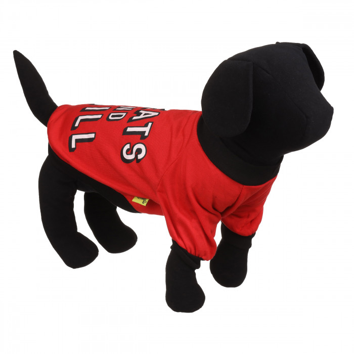 Демисезонный свитшот для котов и кошек "Current Mood", красный, размер XS