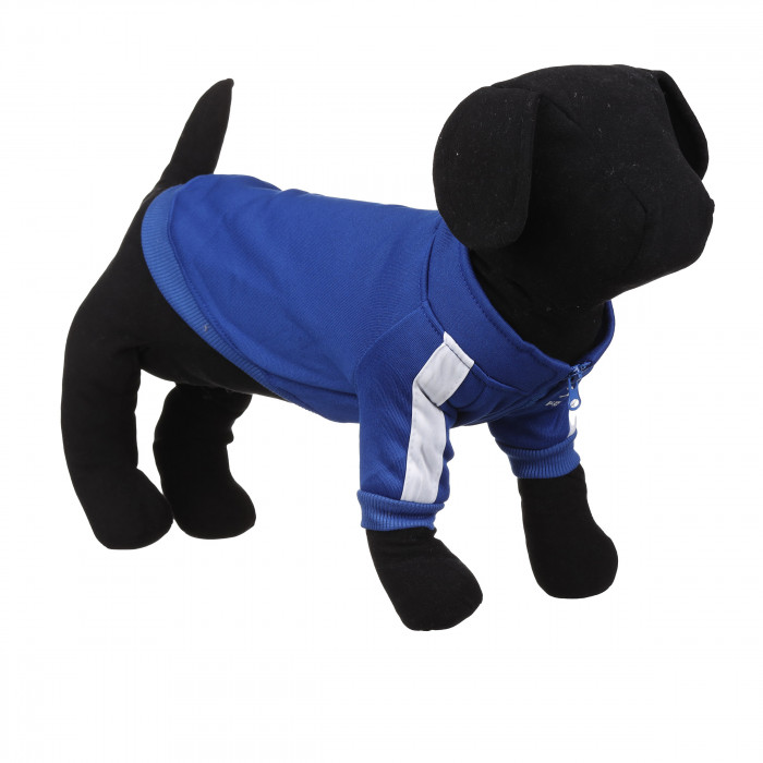Демісезонна спортивна кофта на блискавці для собак "Sport", синя, розмір S